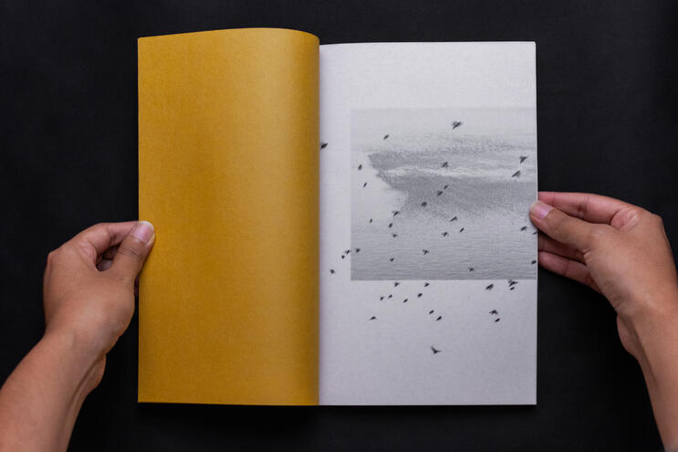 Untitled Untitled